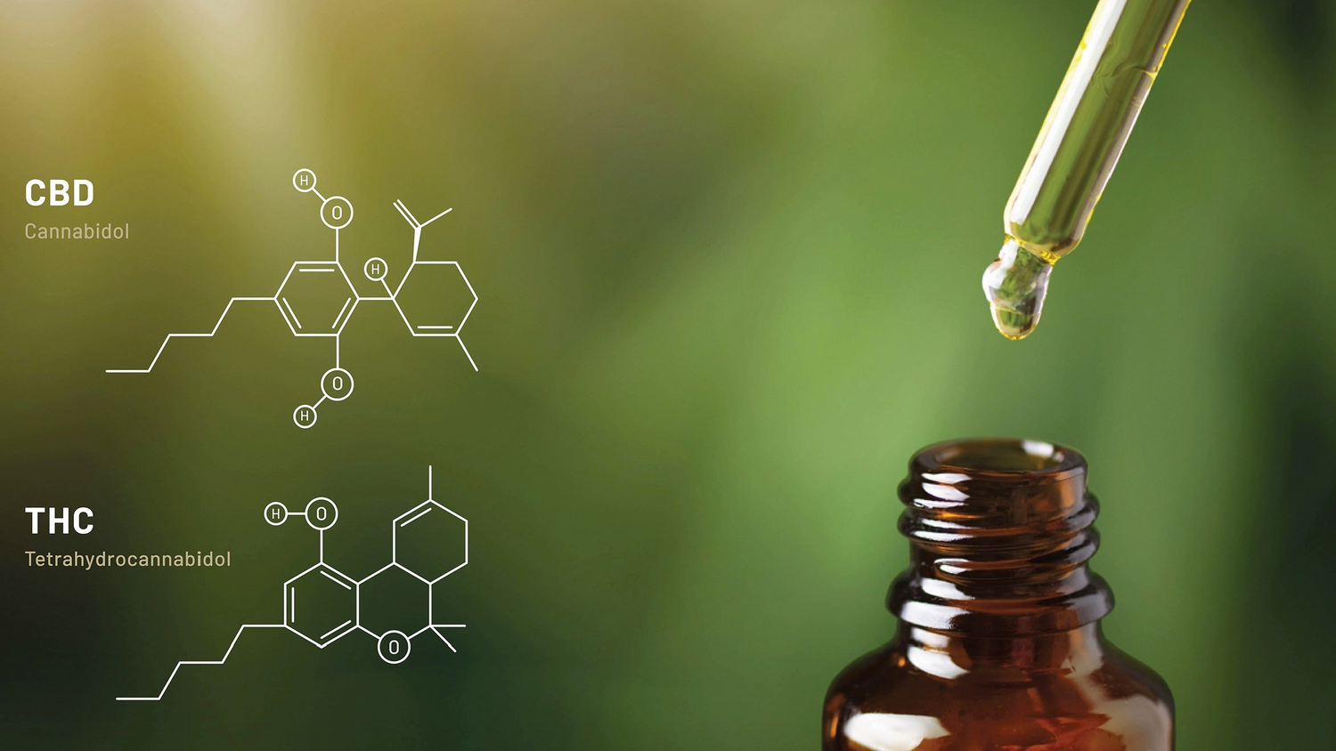 Medical Cannabis Oils