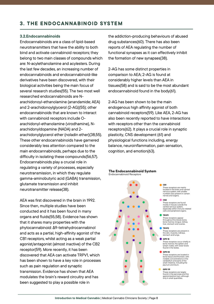 Introduction to Medical Cannabis Evidence Base - Inside Page